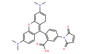 四甲基羅丹明-5-馬來(lái)酰亞胺