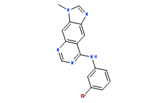 BPIQ-I