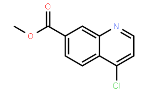 4-氯喹啉-7-甲基羧酸盐
