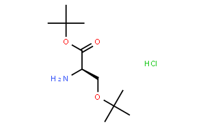 O-(叔丁基)-D-丝氨酸叔丁酯盐酸盐