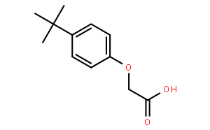 2-(4-(叔丁基)苯氧基)乙酸
