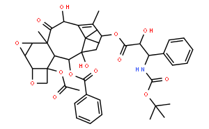 3-BROMO-4-METHOXYBENZOHYDRAZIDE