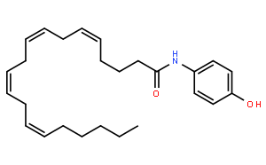AM 404