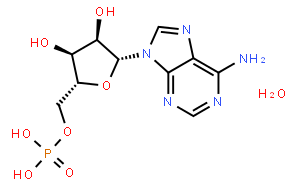 腺苷-5'-单磷酸 一水合物（AMP）