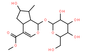 馬錢(qián)苷，馬錢(qián)素，馬錢(qián)子苷