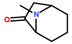 8-methyl-8-Azabicyclo[3.2.1]octan-6-one oxalate