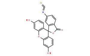 Fluorescein 6-Isothiocyanate, Isomer 2, 95%