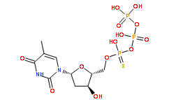 dTTPαS  Thymidine, 5'&reg;P''-ester with thiotriphosphoricacid ((HO)2P(O)OP(O)(OH)OP(O)(OH)(SH))
