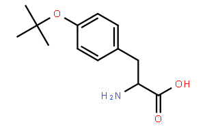 O-叔丁基-L-酪氨酸