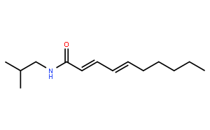 Pellitorine