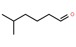 5-Methylhexanal