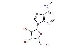 N6-methyladenosine (m6A)