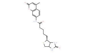 N-D-生物素-7-氨基-4-甲基香豆素