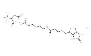 Sulfo-N-succinimidyl 6-(biotinamido) hexanoate Sodium Salt(~90%)