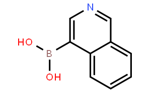 4-异喹啉硼酸