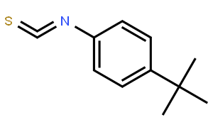 4-叔丁基苯基异氰酸酯