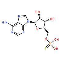 硫代单磷酸腺苷