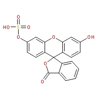 FMS