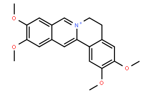 Pseudopalmatine