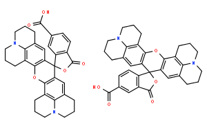 5(6)-ROX ;5(6)-羧基-X-罗丹明盐酸盐