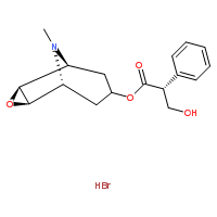 氢溴酸东莨菪碱
