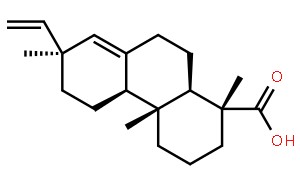 Pimaric Acid (> 75%)