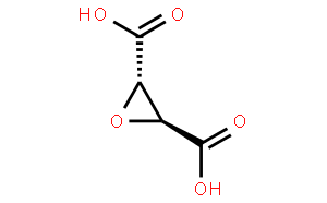 Oxirane-2,3-dicarboxylic Acid