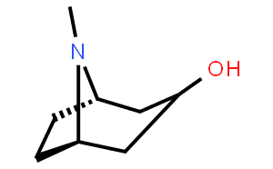 β-托品醇