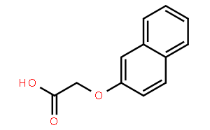 β-萘氧乙酸