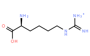 L-高精氨酸