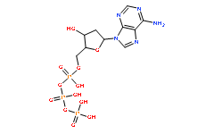 2′-脱氧腺苷-5′-三磷酸钠盐溶液（dATP溶液，100 mM）