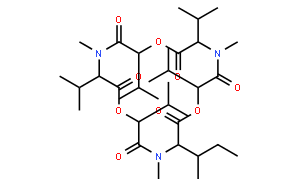 恩镰孢菌素B1