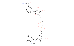 b-Nicotinamide Adenine Dinucleotide Sodium Salt Dihydrate