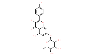Kaempferol 7-O-rhamnoside
