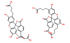 2`,7`-二(3-羧丙基)-5(6)-羧基-荧光素