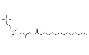 1-Myristoyl-sn-glycero-3-phosphocholine
