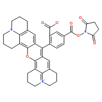 5-羧基-X-羅丹明琥珀酰亞胺酯