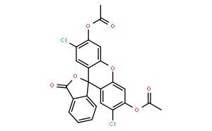 2`,7`-二氯荧光素二乙酸酯
