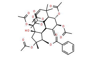 Jatrophane 2