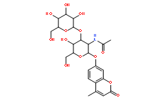 4-甲基香豆素基-2-乙酰氨基-2-脱氧-3-氧-（β-D-吡喃半乳糖基）-α-D-吡喃半乳糖苷