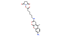 AMCA-X 琥珀酰亞胺酯