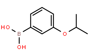 3-异丙氧基苯硼酸