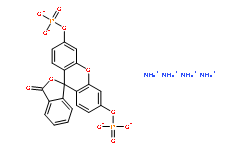 熒光素二磷酸酯四銨鹽（FDP）