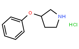 3-苯氧吡咯烷盐酸盐