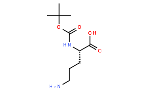 叔丁氧羰基-L-鸟氨酸