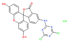 5-([4,6-二氯三嗪-2-氨基)荧光素盐酸盐