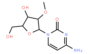 2'-O-甲基胞苷