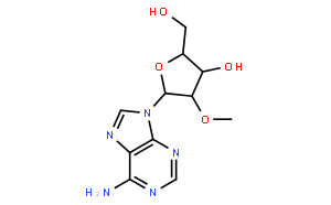 2'-甲氧基腺;2'-O-甲基腺苷