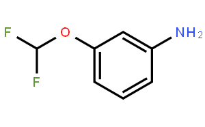 3-(二氟甲氧基)苯胺