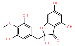 苦杏碱醇 B
